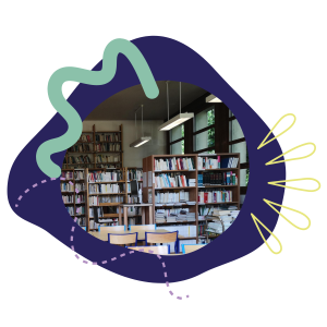 Bibliothèque de l'IEDES